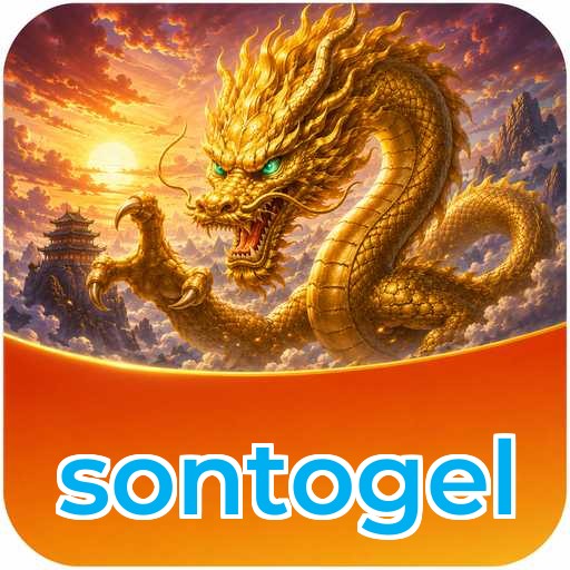 Architecture Comparison - sontogel APK Variants