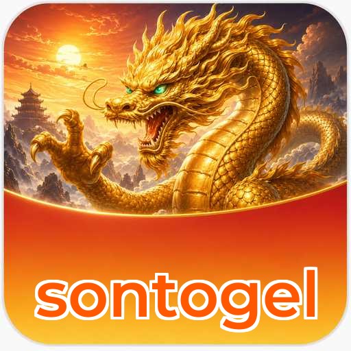 Misi Visi sontogel