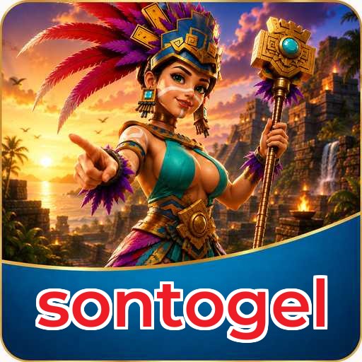 Developer Info sontogel
