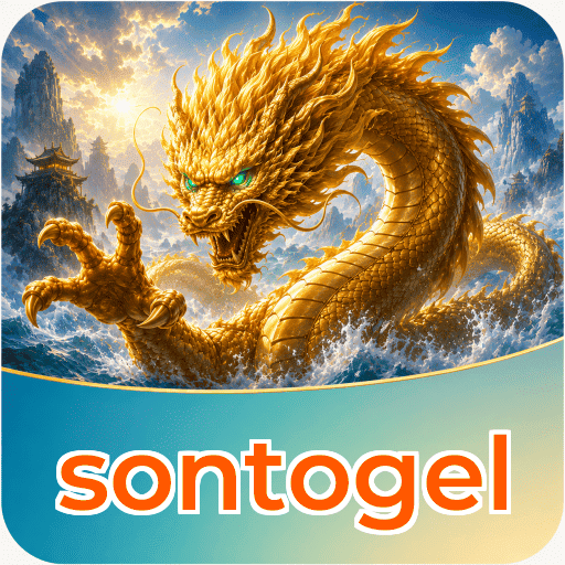 Version History sontogel